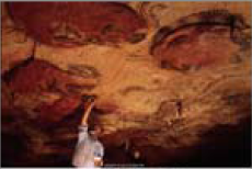 Ancient drawings in the Altamira Cave