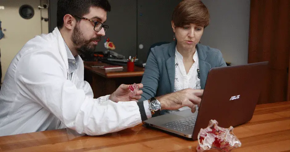 모델을 가지고 있는 D2P 소프트웨어 사용자