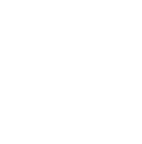 AIG 소규모 시장 진출 경로