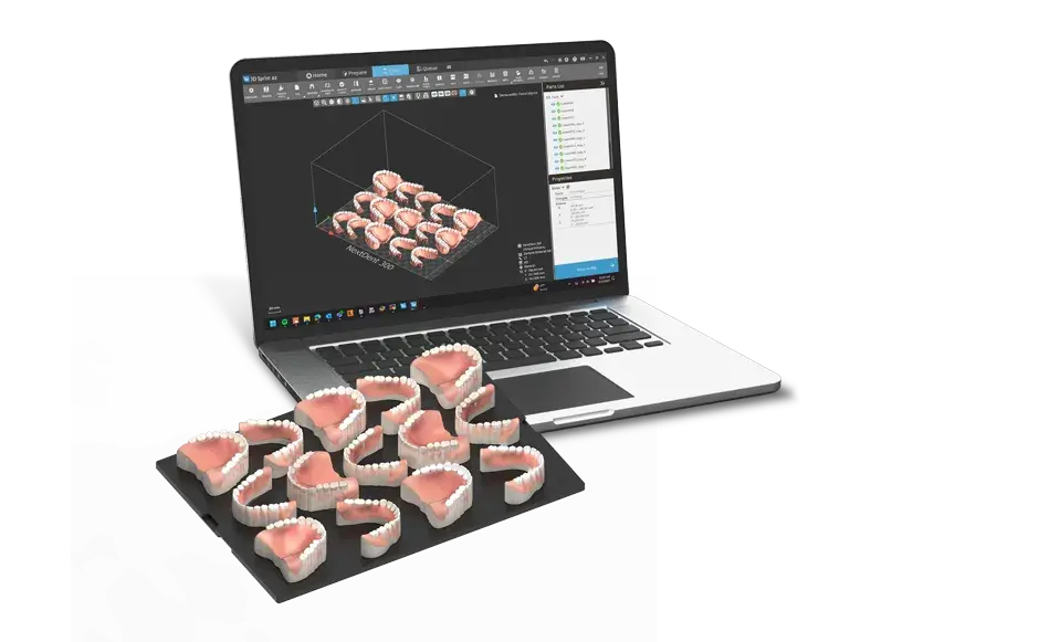 NextDent 300 및 3D 스프린트