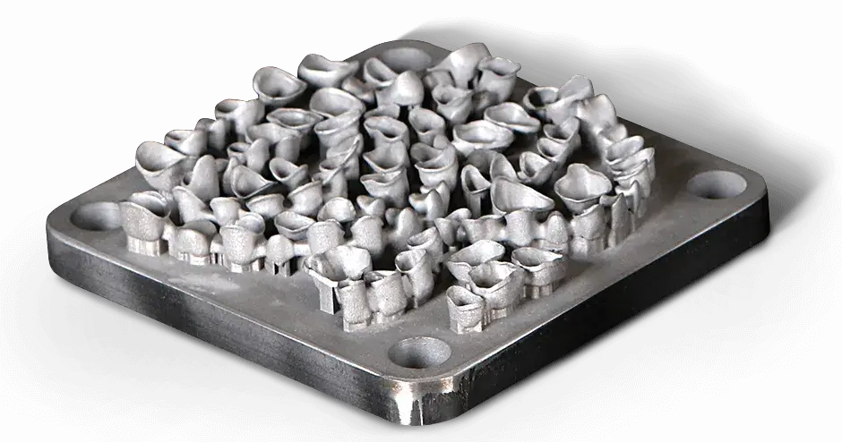 3D Systems Cobalt Chrome 치과용 치아 플랫품