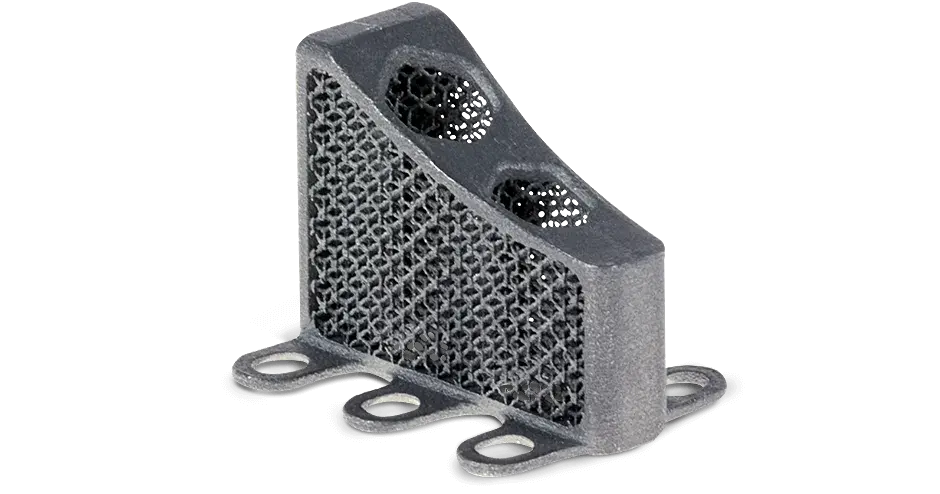 LaserForm Ti Gr1 (A) 티타늄 합금을 사용한 의료용 임플란트